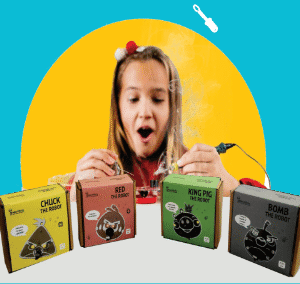 Angry Birds Robotic Toys